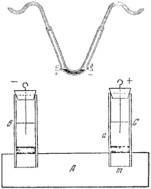 An image from Reuß article